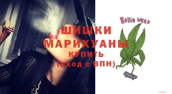 дживик Гусь-Хрустальный