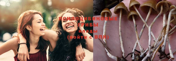 СК Вязники